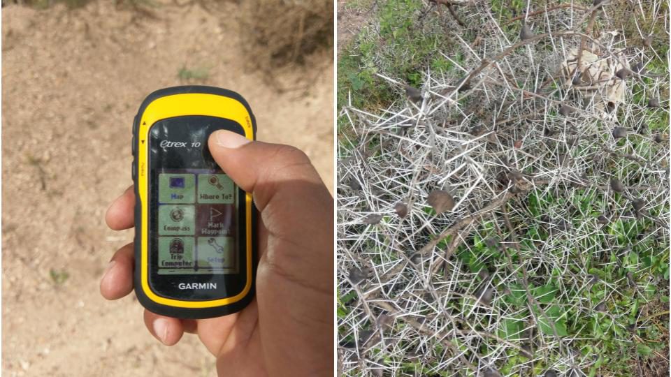 Hand-Held GPS and Briars